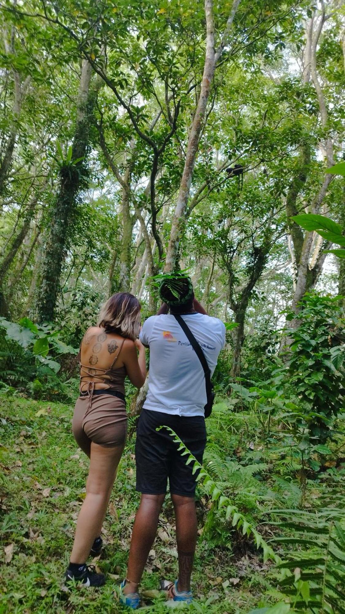Hide And Seek Tetebatu Buitenkant foto
