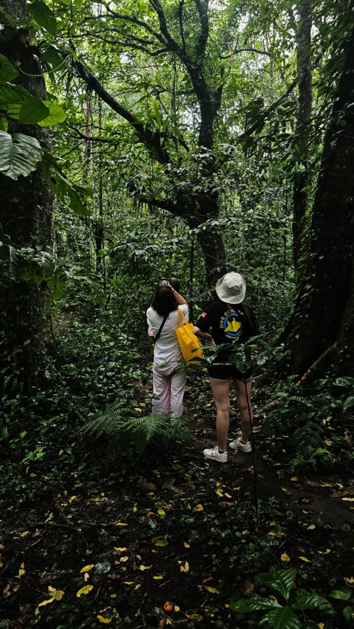 Hide And Seek Tetebatu Buitenkant foto